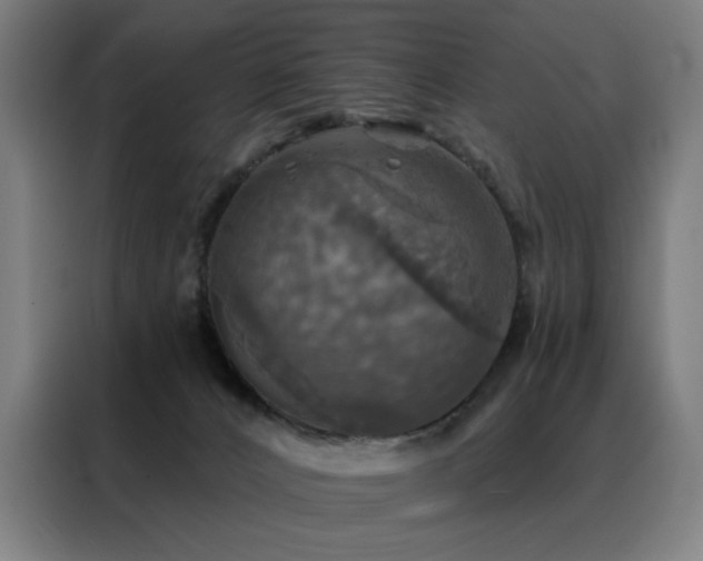 X0000088390032200705221123