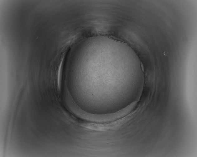 X0000088390033200705221123