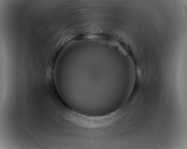 X0000088390035200705221123