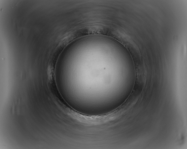 X0000088390038200705221123