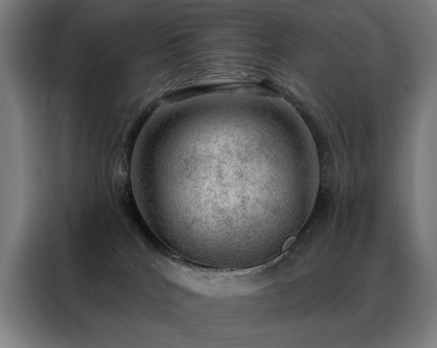 X0000088390040200705221123