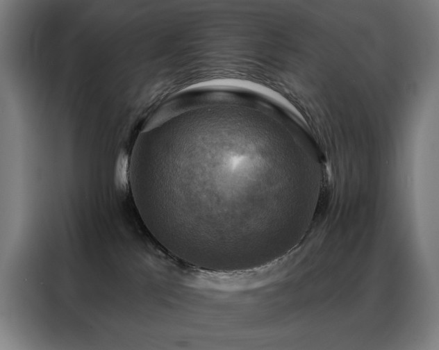 X0000088390041200705221123