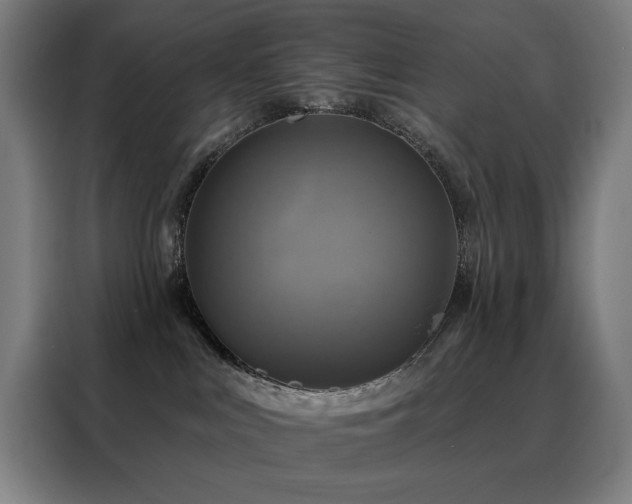 X0000088390043200705221123