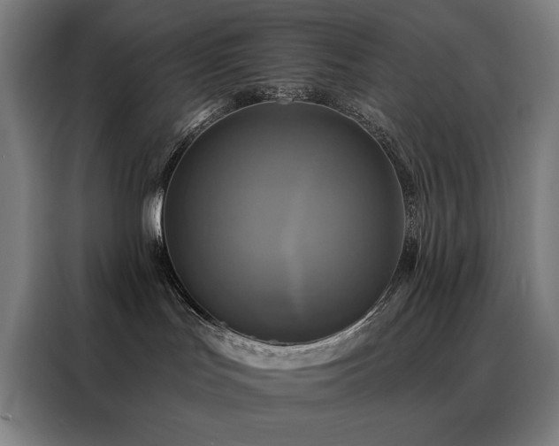 X0000088390047200705221123