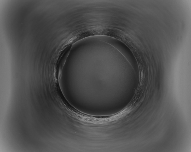 X0000088390048200705221123