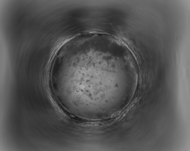 X0000088390049200705221123