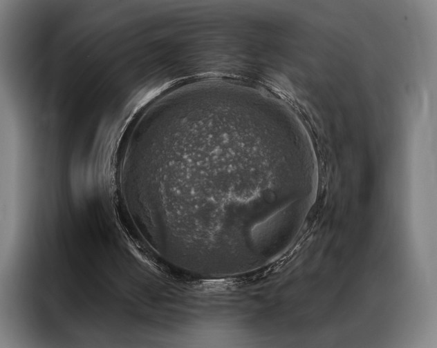 X0000088390050200705221123