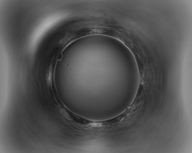 X0000088390052200705221123