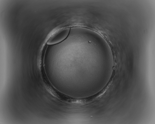 X0000088390056200705221123