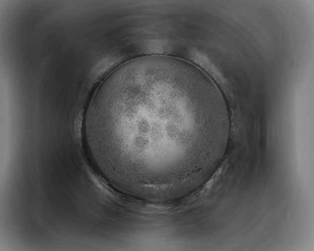 X0000088390058200705221123