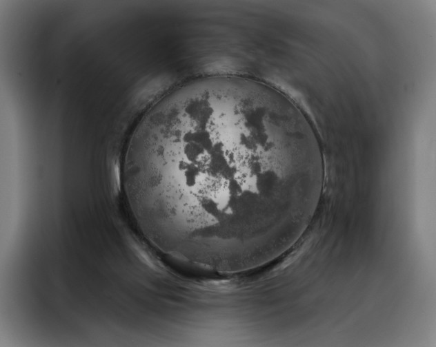 X0000088390061200705221123