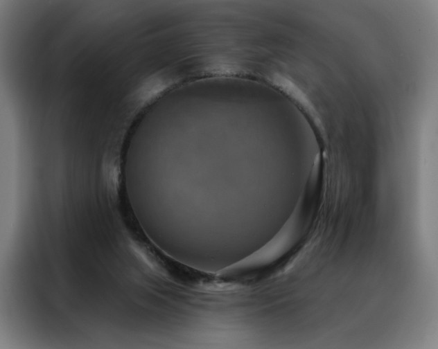 X0000088390063200705221123