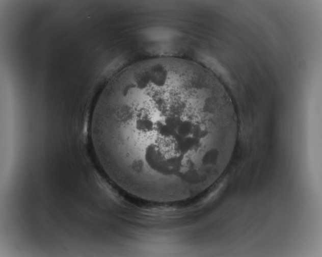 X0000088390065200705221123