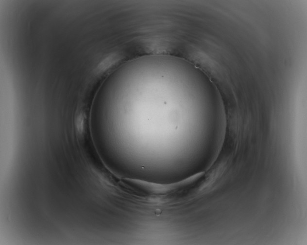 X0000088390071200705221123