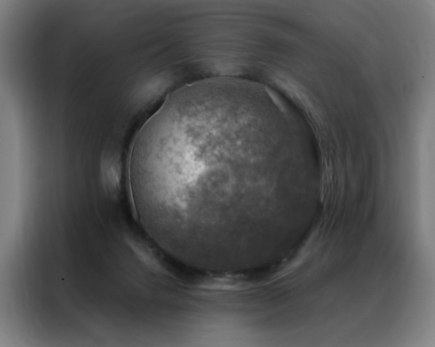 X0000088390072200705221123