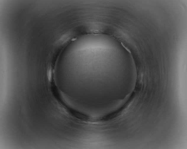 X0000088390076200705221123