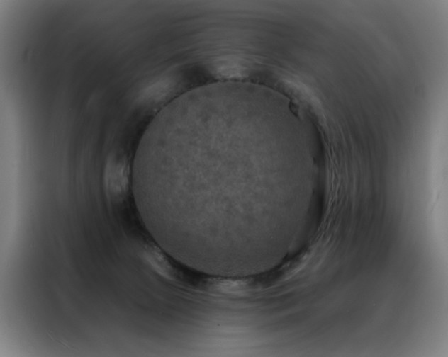 X0000088390081200705221123