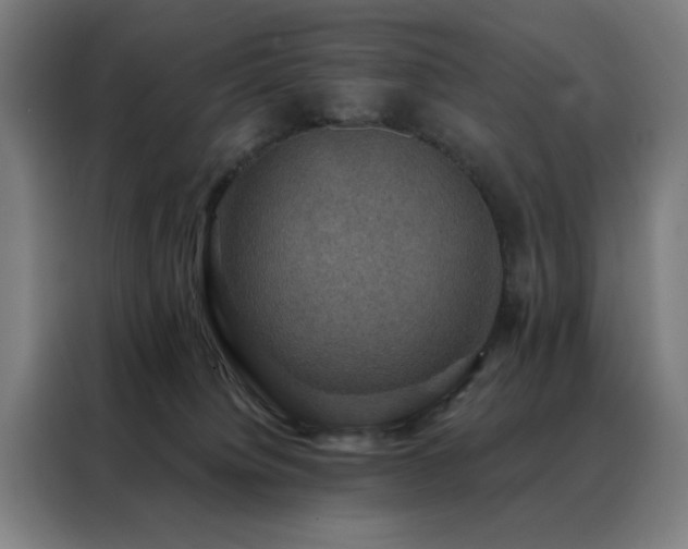 X0000088390084200705221123