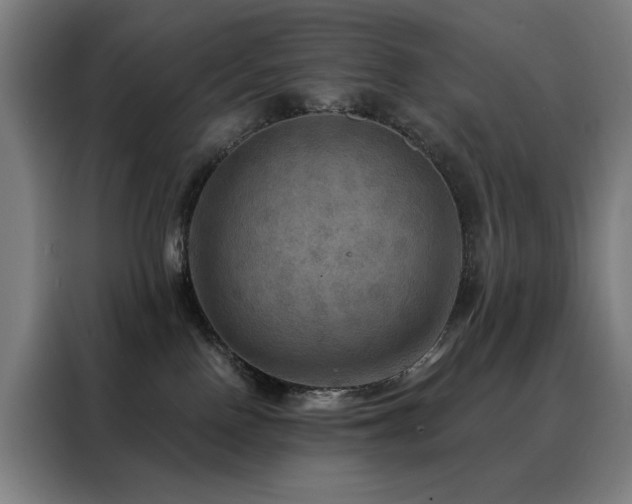 X0000088390090200705221123