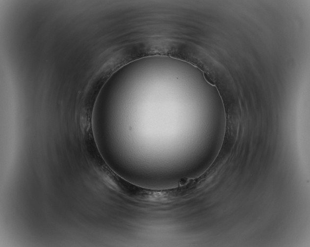 X0000088390091200705221123