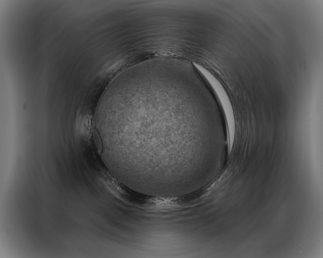 X0000088390093200705221123