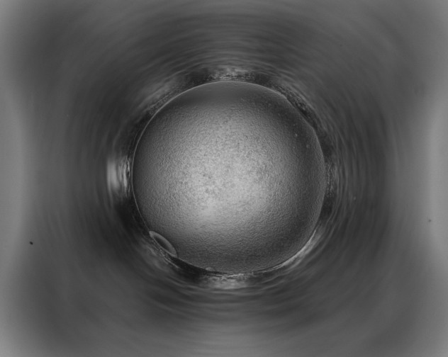 X0000088390094200705221123