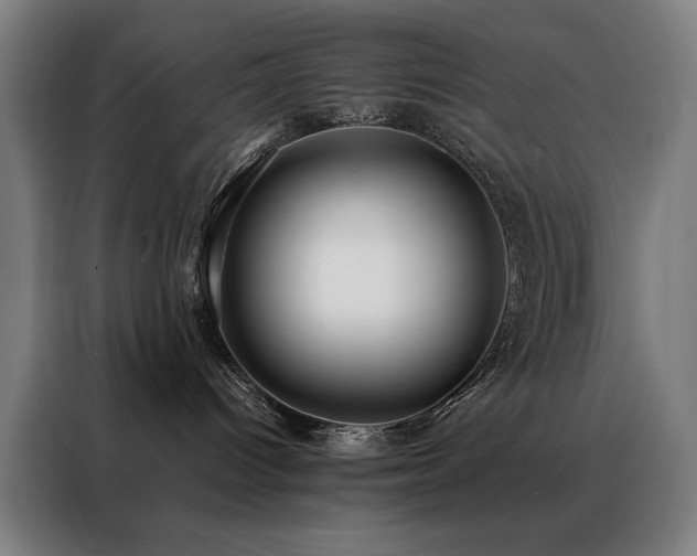 X0000088390096200705221123