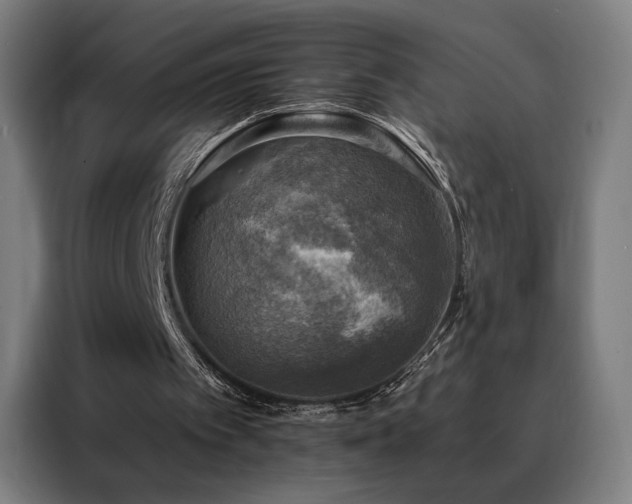 X0000088390097200705221123