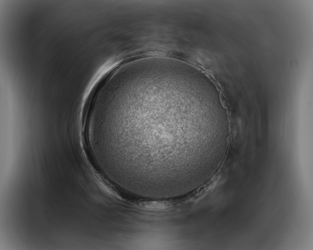 X0000088390102200705221123