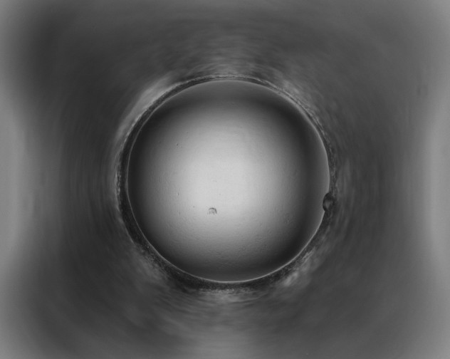 X0000088390103200705221123