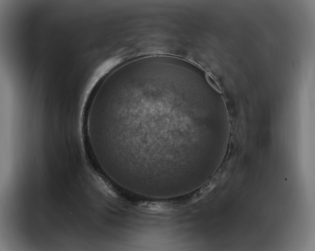 X0000088390104200705221122