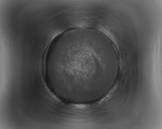 X0000088390105200705221122