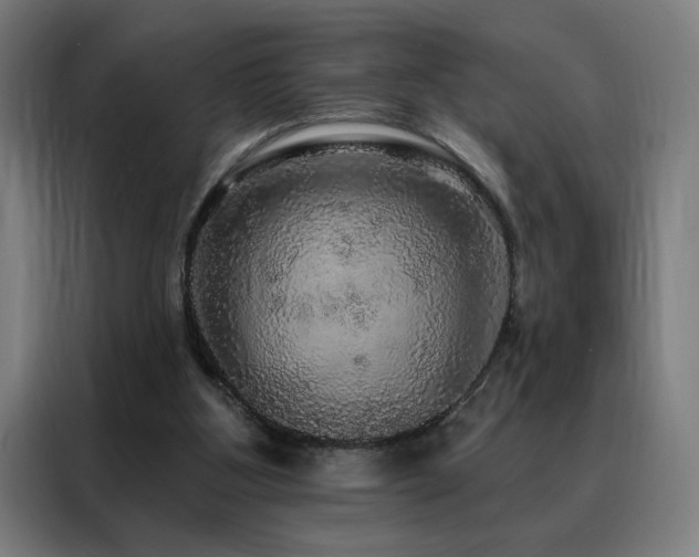 X0000088390107200705221122