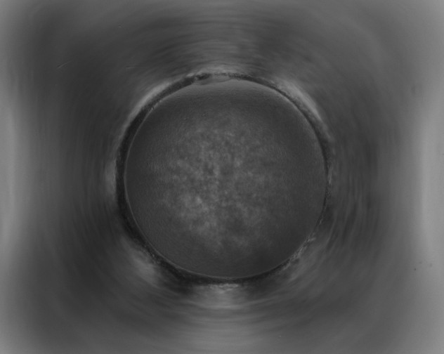 X0000088390108200705221122