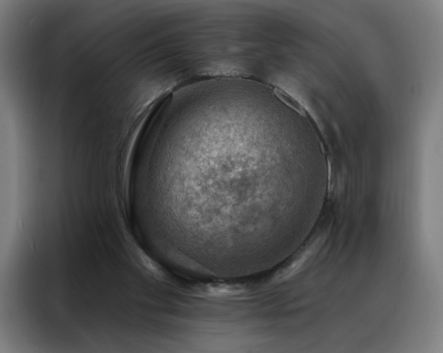 X0000088390109200705221122