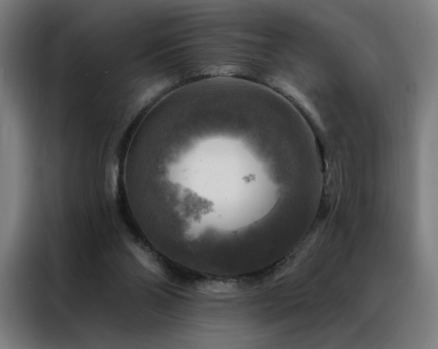 X0000088390110200705221122