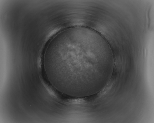 X0000088390112200705221122