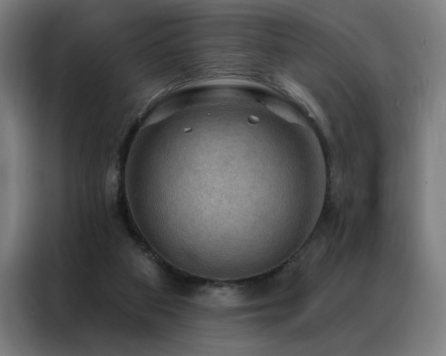 X0000088390113200705221122