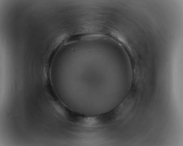 X0000088390114200705221122