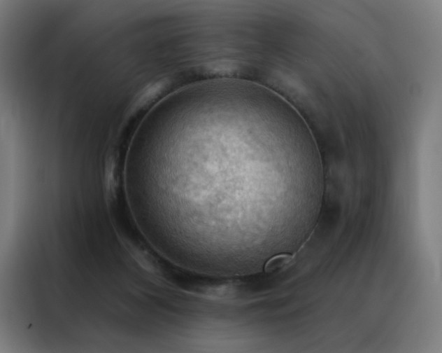 X0000088390116200705221122