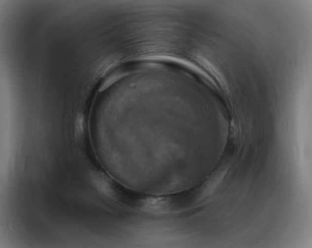 X0000088390117200705221122