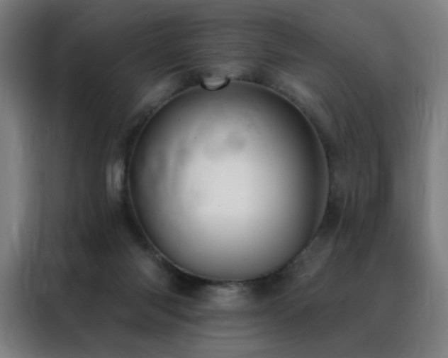 X0000088390118200705221122