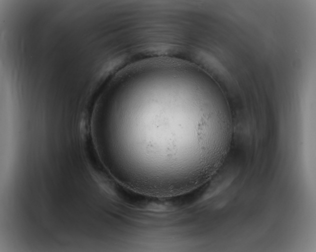 X0000088390119200705221122