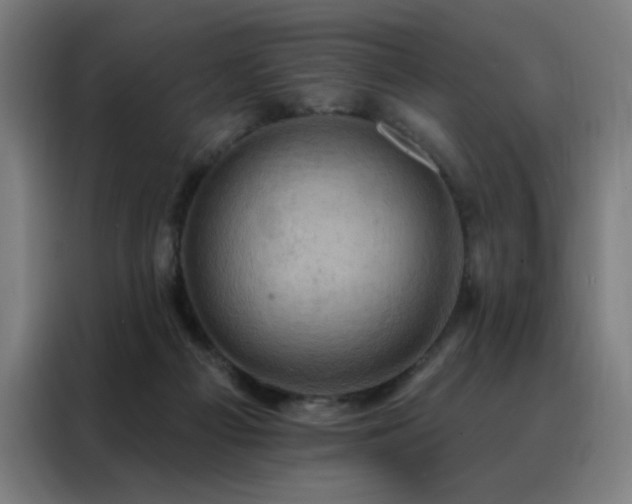 X0000088390121200705221122