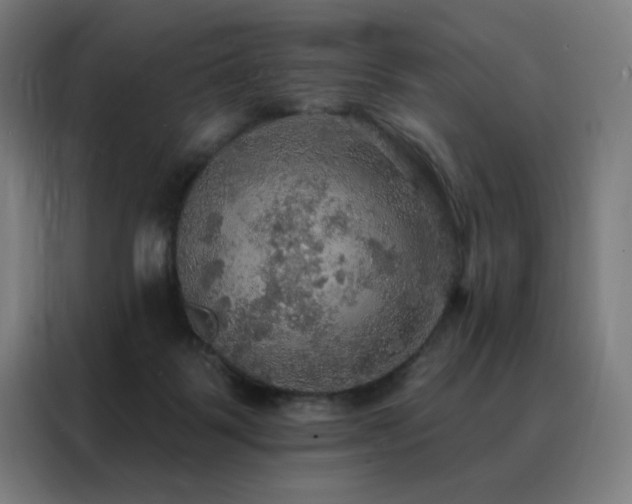 X0000088390123200705221122