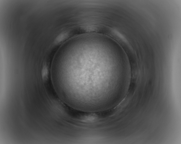 X0000088390124200705221122