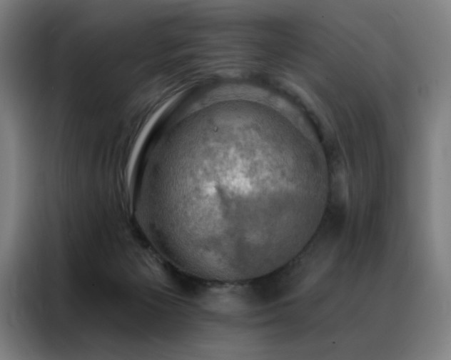 X0000088390125200705221122