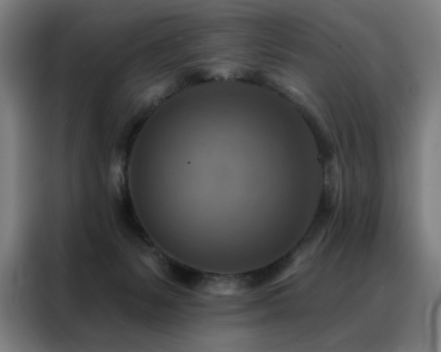 X0000088390127200705221122