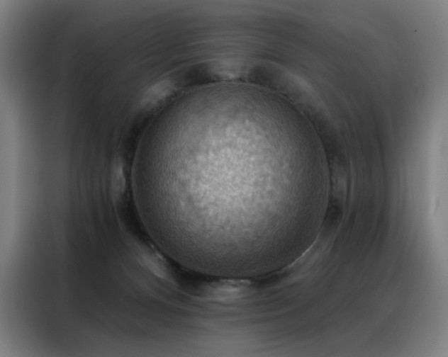 X0000088390128200705221122