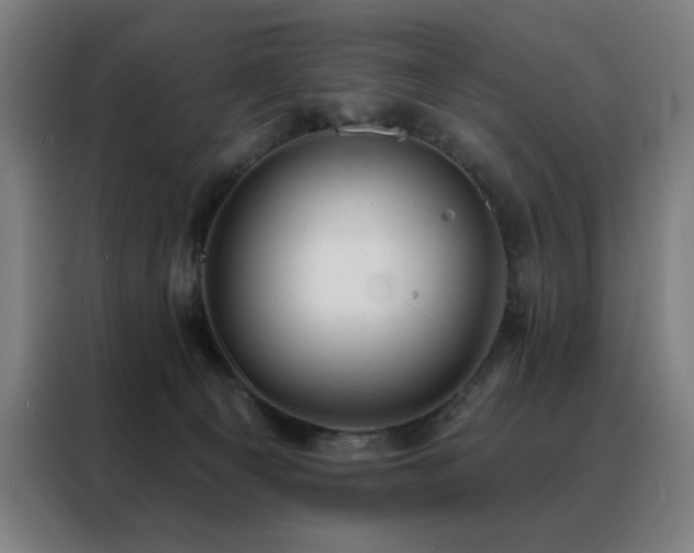 X0000088390129200705221122